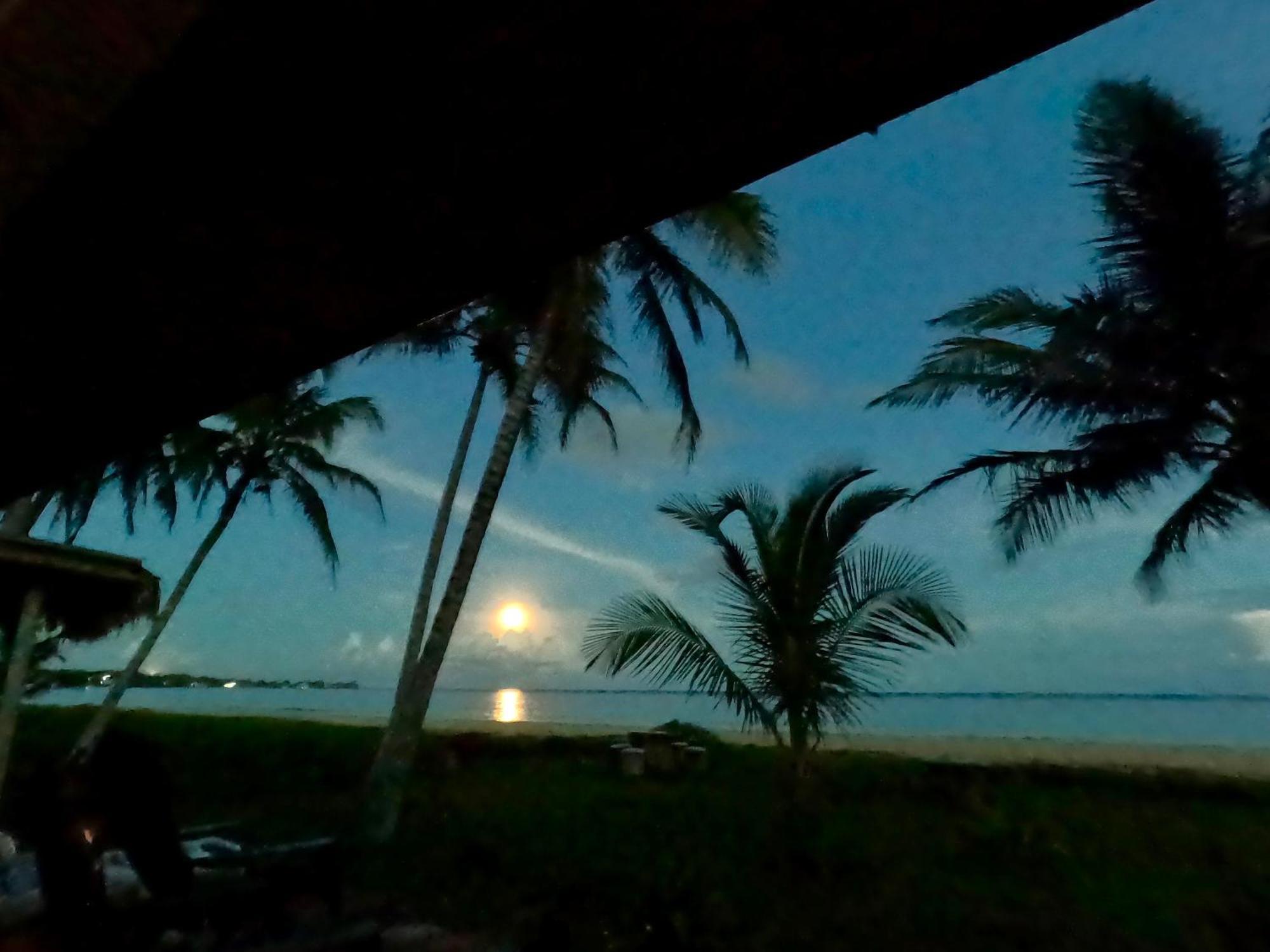 Coconut Castle At La Lodge At Long Bay South End Ngoại thất bức ảnh